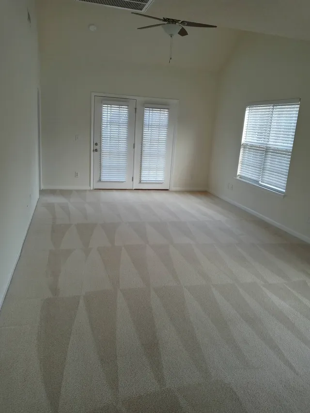 Rug & Carpet cleaning