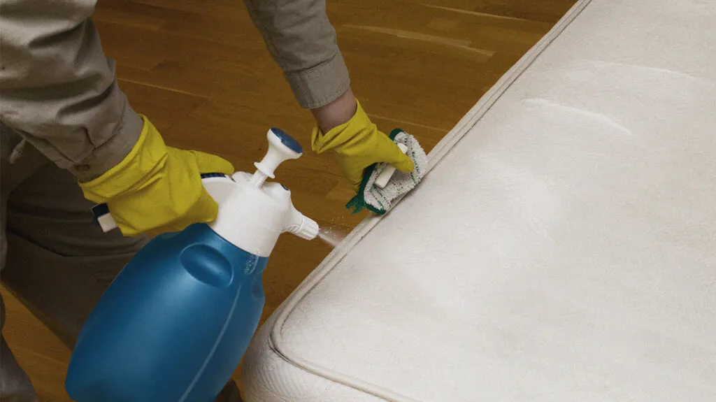 Mattress Cleaning